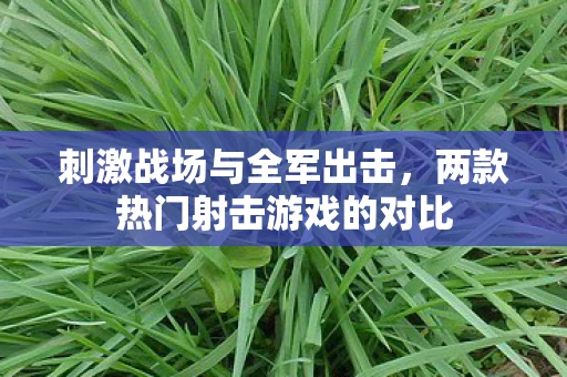 刺激战场与全军出击，两款热门射击游戏的对比
