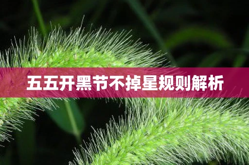 五五开黑节不掉星规则解析
