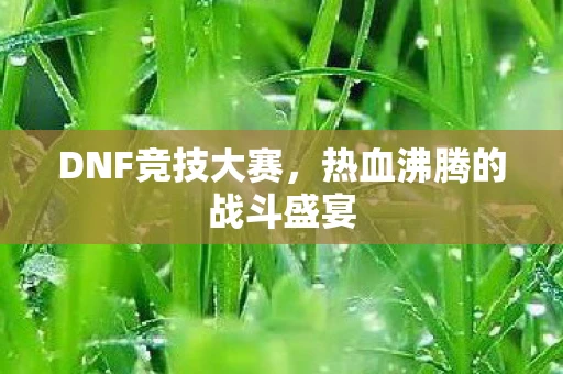 DNF竞技大赛，热血沸腾的战斗盛宴