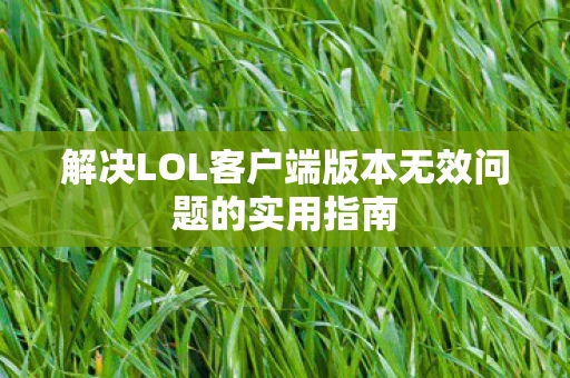 解决LOL客户端版本无效问题的实用指南