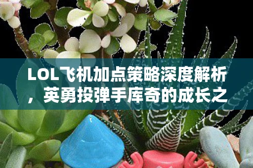 LOL飞机加点策略深度解析，英勇投弹手库奇的成长之路
