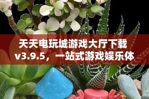 天天电玩城游戏大厅下载 v3.9.5，一站式游戏娱乐体验的新纪元