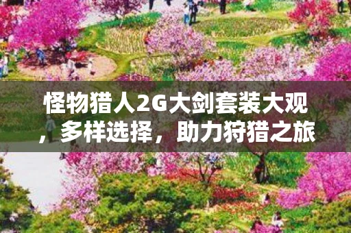 怪物猎人2G大剑套装大观，多样选择，助力狩猎之旅