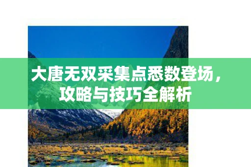 大唐无双采集点悉数登场，攻略与技巧全解析