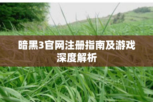暗黑3官网注册指南及游戏深度解析图片