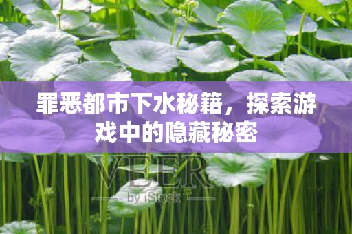 罪恶都市下水秘籍，探索游戏中的隐藏秘密