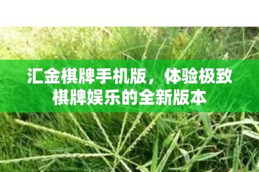 汇金棋牌手机版，体验极致棋牌娱乐的全新版本