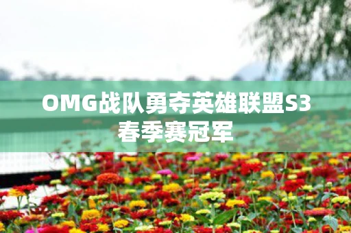 OMG战队勇夺英雄联盟S3春季赛冠军
