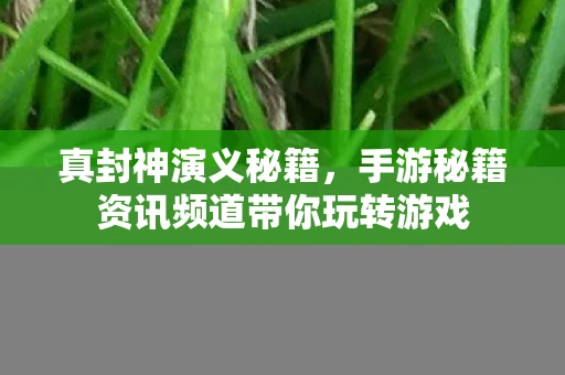 真封神演义秘籍，手游秘籍资讯频道带你玩转游戏