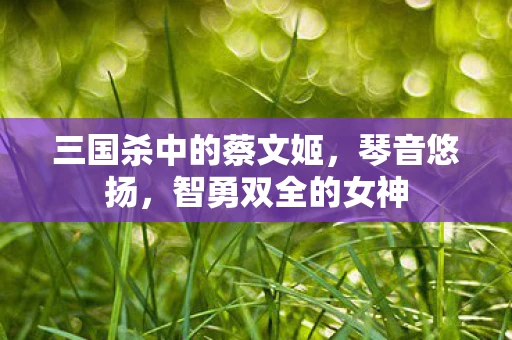 三国杀中的蔡文姬，琴音悠扬，智勇双全的女神