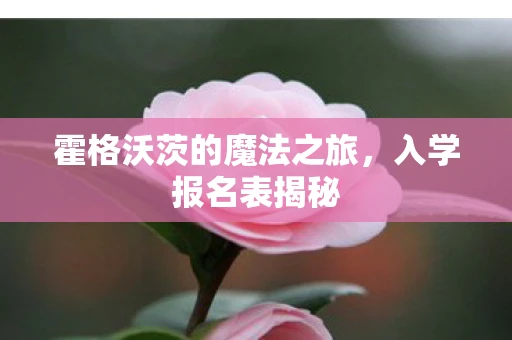 霍格沃茨的魔法之旅，入学报名表揭秘