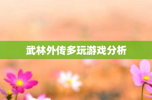 武林外传多玩游戏分析