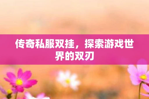 传奇私服双挂，探索游戏世界的双刃