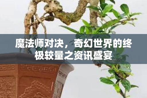 魔法师对决，奇幻世界的终极较量之资讯盛宴