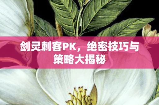 剑灵刺客PK，绝密技巧与策略大揭秘