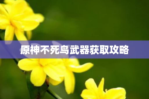 原神不死鸟武器获取攻略