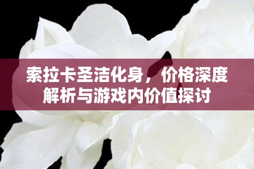 索拉卡圣洁化身，价格深度解析与游戏内价值探讨