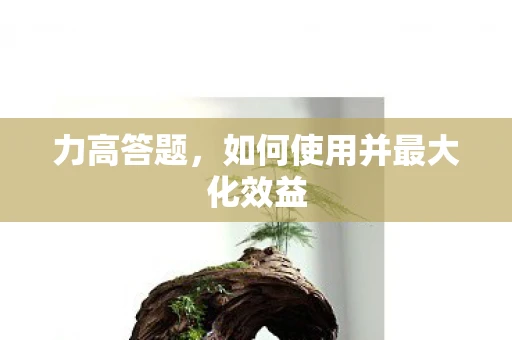 力高答题，如何使用并最大化效益