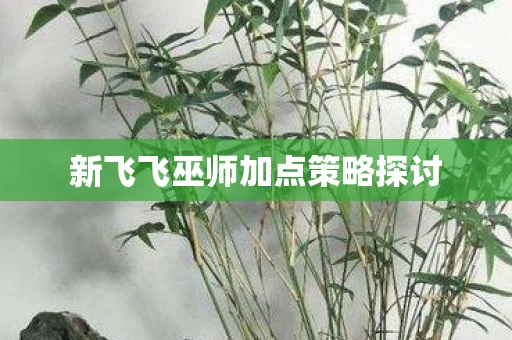 新飞飞巫师加点策略探讨