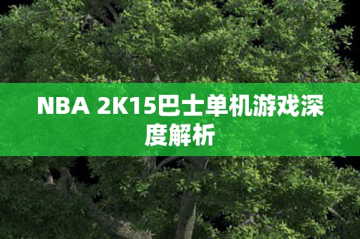 NBA 2K15巴士单机游戏深度解析