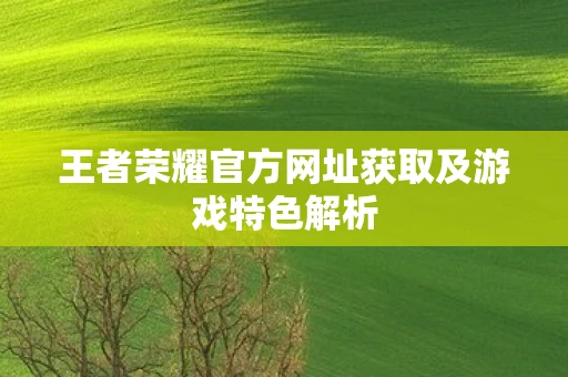 王者荣耀官方网址获取及游戏特色解析