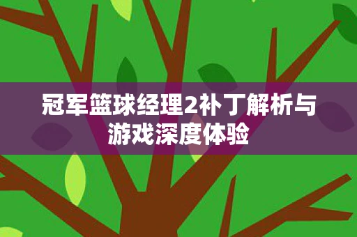冠军篮球经理2补丁解析与游戏深度体验