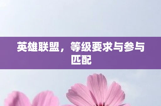 英雄联盟，等级要求与参与匹配