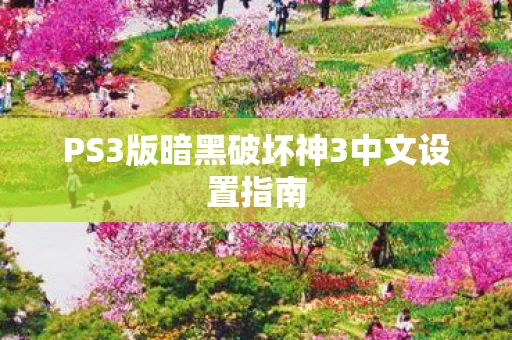 PS3版暗黑破坏神3中文设置指南