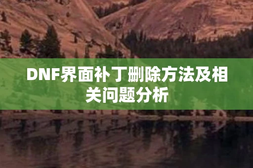 DNF界面补丁删除方法及相关问题分析