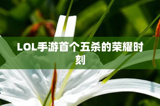 LOL手游首个五杀的荣耀时刻