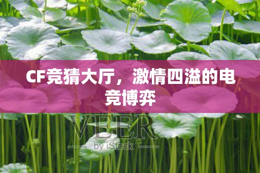 CF竞猜大厅，激情四溢的电竞博弈