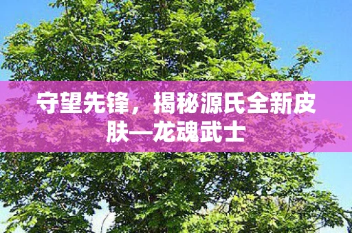 守望先锋，揭秘源氏全新皮肤—龙魂武士