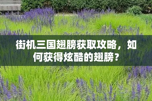 街机三国翅膀获取攻略，如何获得炫酷的翅膀？