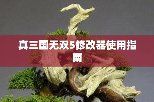 真三国无双5修改器使用指南