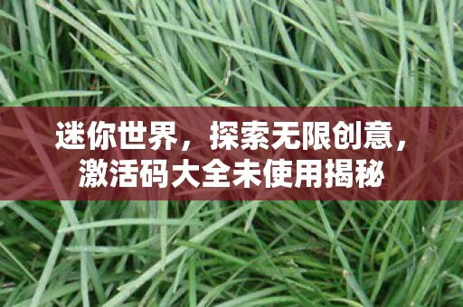 迷你世界,探索无限创意,激活码大全未使用揭秘 迷你世界,探索无限创意,激活码大全未使用揭秘
