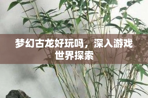 梦幻古龙好玩吗，深入游戏世界探索