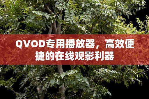 QVOD专用播放器，高效便捷的在线观影利器