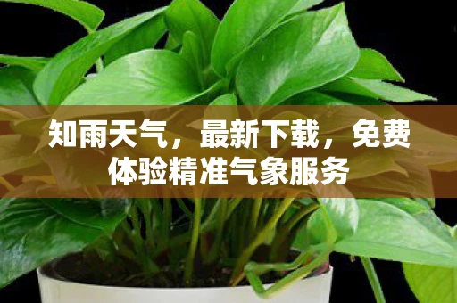 知雨天气，最新下载，免费体验精准气象服务