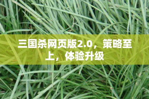 三国杀网页版2.0，策略至上，体验升级