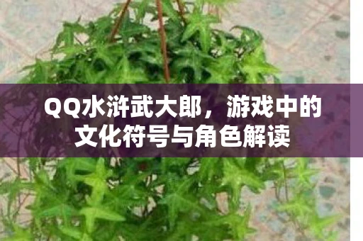 QQ水浒武大郎，游戏中的文化符号与角色解读