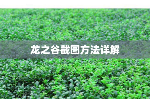 龙之谷截图方法详解图片