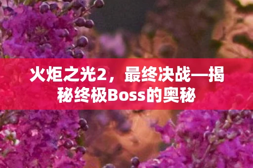 火炬之光2，最终决战—揭秘终极Boss的奥秘