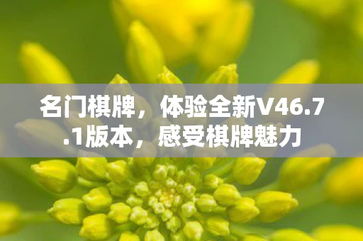 名门棋牌，体验全新V46.7.1版本，感受棋牌魅力