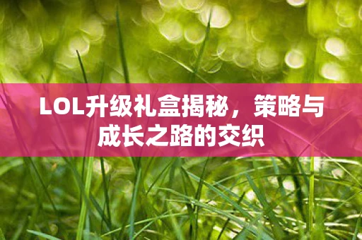 LOL升级礼盒揭秘，策略与成长之路的交织
