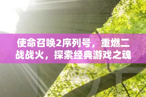 使命召唤2序列号图片