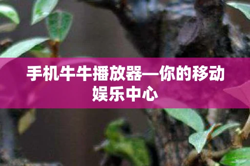 手机牛牛播放器—你的移动娱乐中心