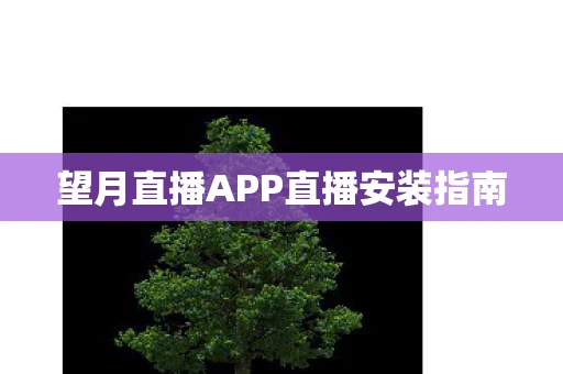 望月直播APP直播安装指南