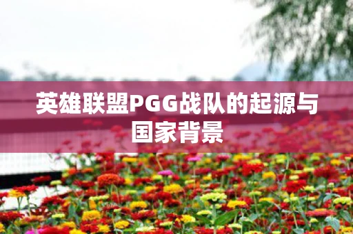 英雄联盟PGG战队的起源与国家背景