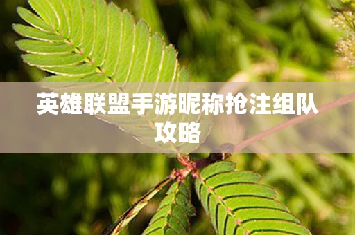 英雄联盟手游昵称抢注组队攻略