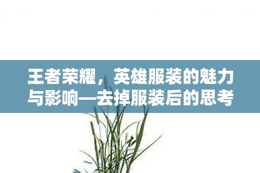 王者荣耀，英雄服装的魅力与影响—去掉服装后的思考